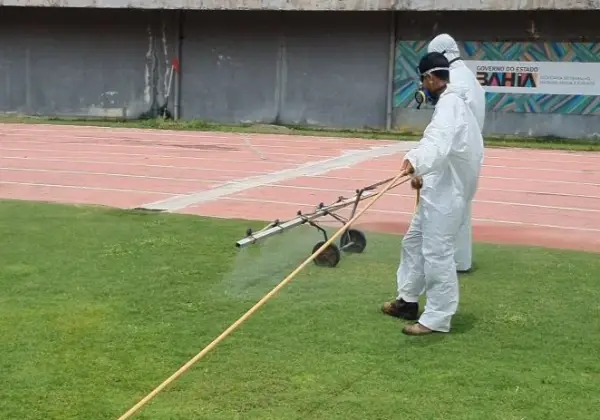 Gramado do Estádio de Pituaçu retorna às atividades dia 17 de novembro