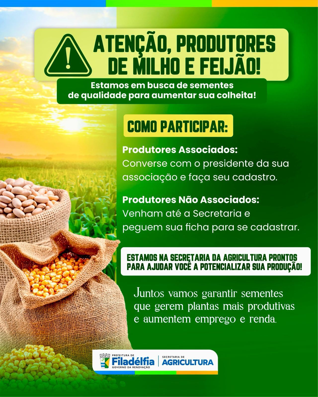 Prefeitura de Filadélfia fortalece agricultura familiar e busca sementes de qualidade para produtores