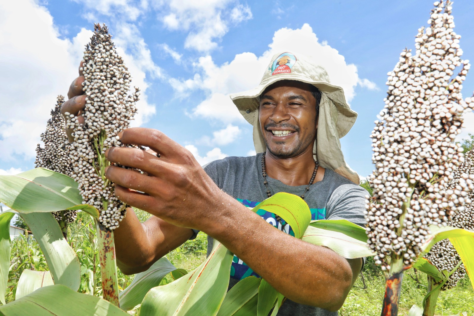 Sistemas Agrícolas Resilientes instalados no Semiárido baiano irão assegurar a perpetuação de sementes livres de transgenia