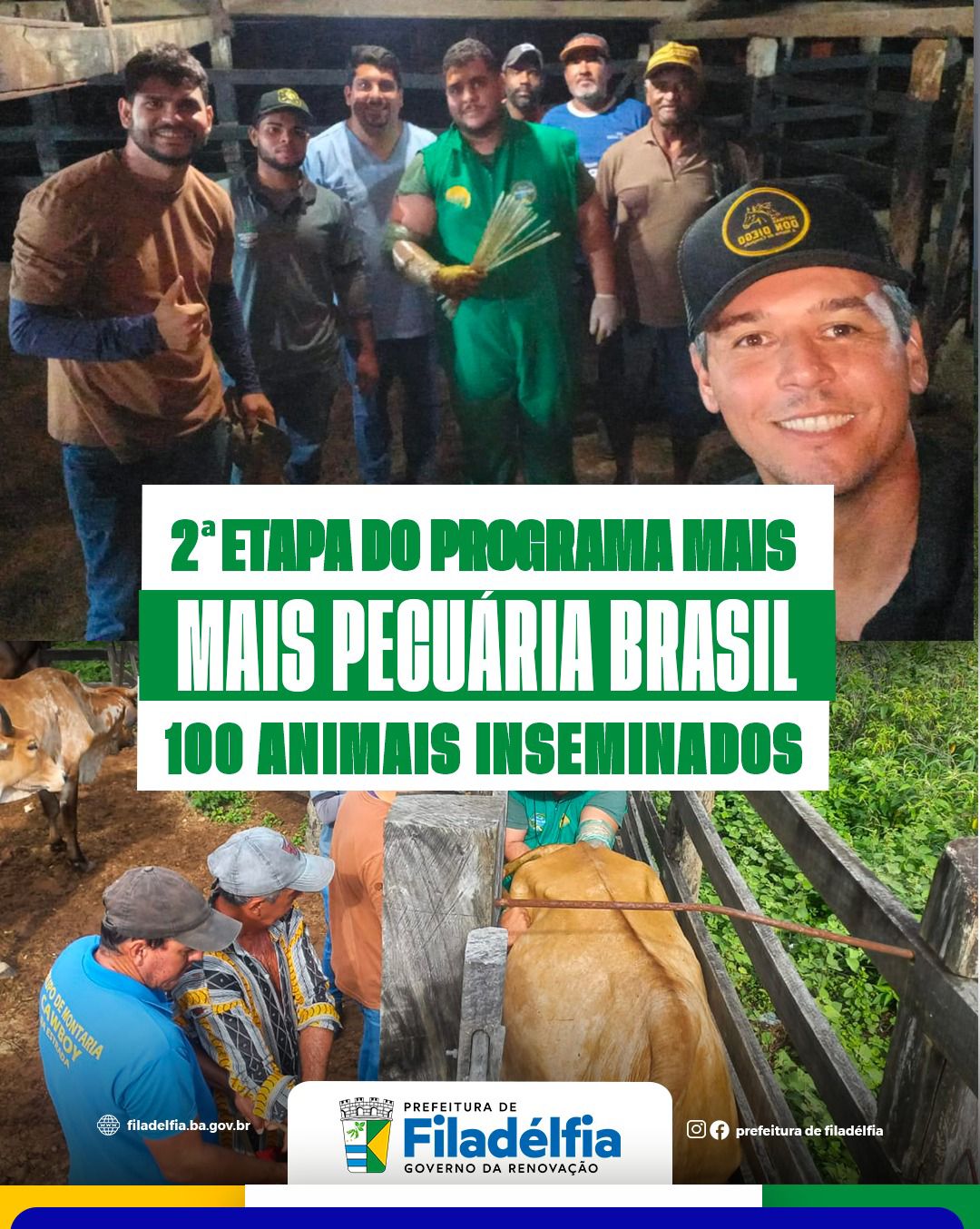 Filadélfia realiza segunda etapa do programa MAIS PECUÁRIA BRASIL – 100 animais inseminados