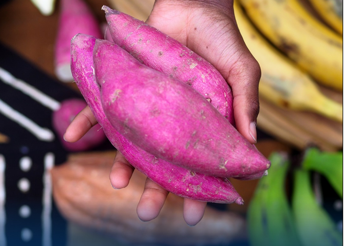 Batata doce ajuda a controlar a glicose