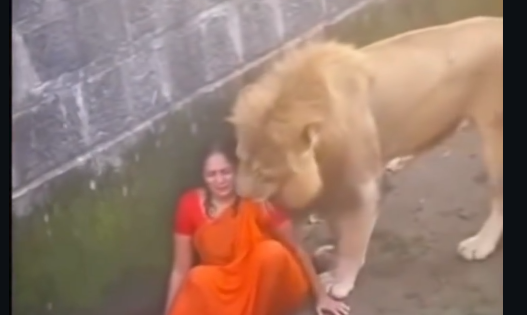 Mulher cai em jaula mais escapa ilesa