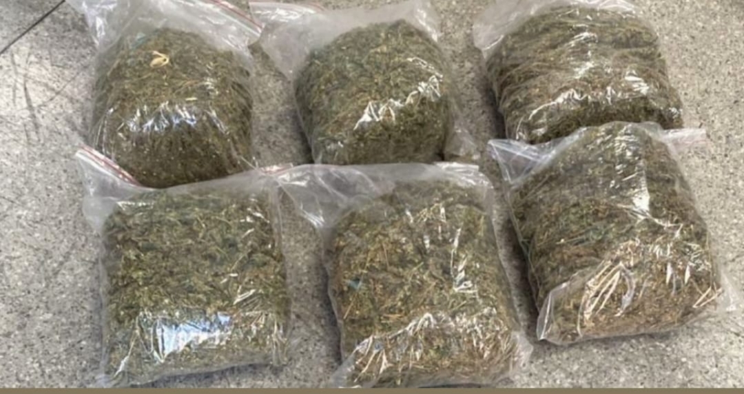 Polícia Militar apreende mais de 3 kg de maconha e prende dois suspeitos no Terminal Rodoviário de Senhor do Bonfim