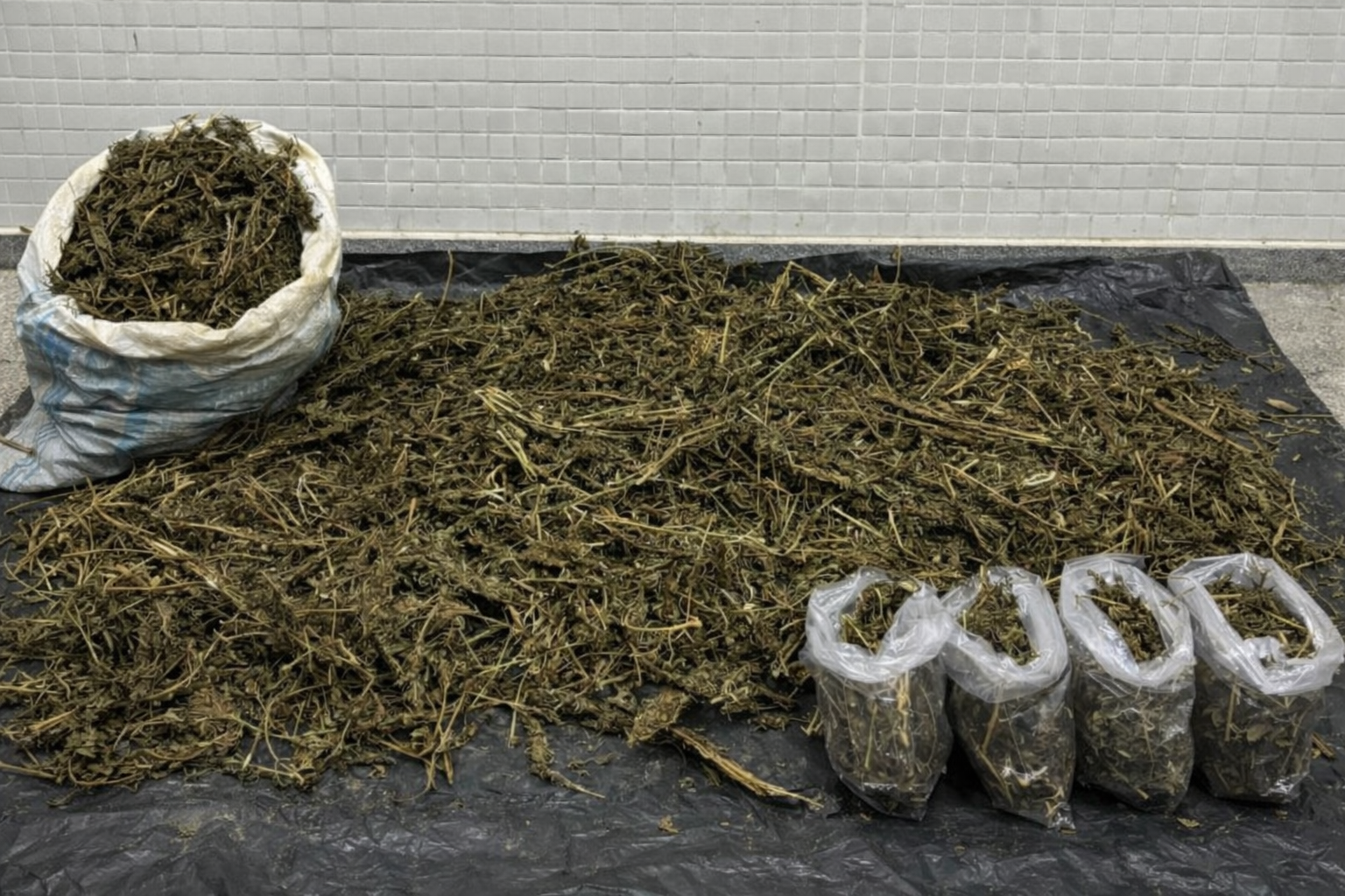 Polícia apreende cerca de 22 kg de maconha após troca de tiros em Campo Formoso