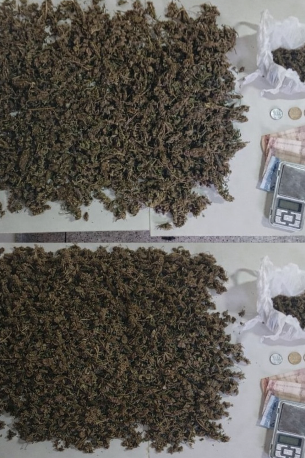 Tráfico de drogas é combatido pela PM em Campo Formoso; suspeito é detido com maconha e balança digital