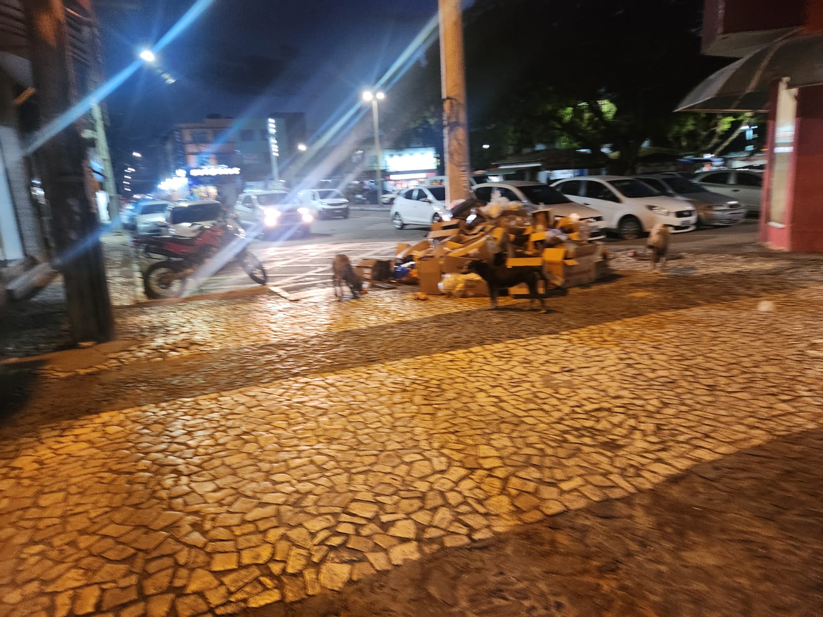 Descarte irregular de lixo vira rotina no centro comercial de Senhor do Bonfim