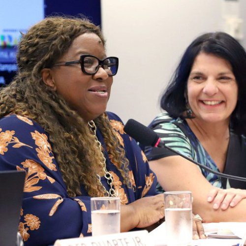 MDH apresenta investimentos da pasta para as 16 milhões de pessoas com deficiência