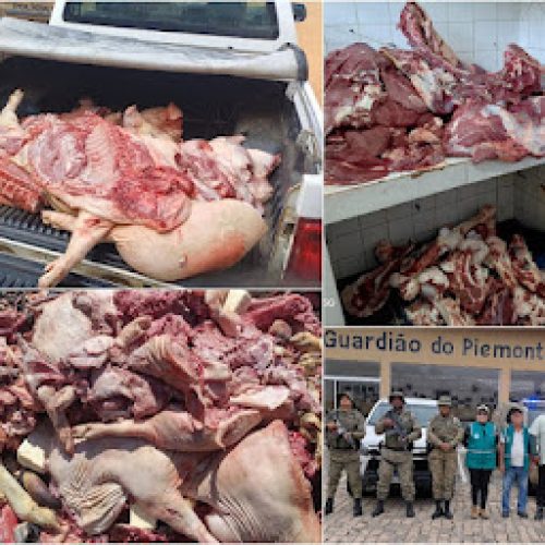 Mais de 2 toneladas de carnes impróprias para consumo são apreendidas em Jaguarari, Jacobina e cidades da região