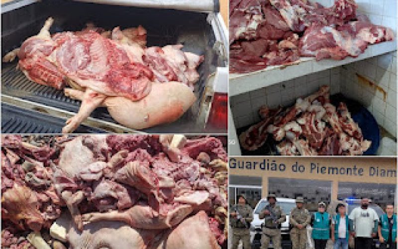 Mais de 2 toneladas de carnes impróprias para consumo são apreendidas em Jaguarari, Jacobina e cidades da região