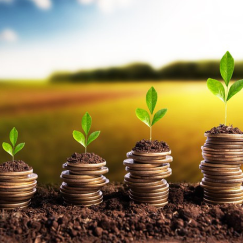 Desembolso rural do primeiro bimestre do Plano Safra 2025/2026