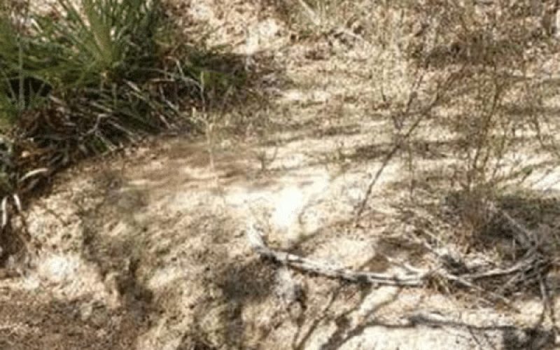 Idoso é encontrado morto Após ficar alguns dias desaparecido na zona rural de Quijingue