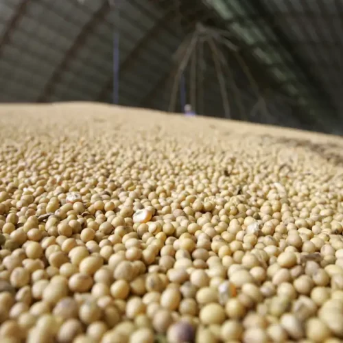 País tem menor superávit para julho em três anos