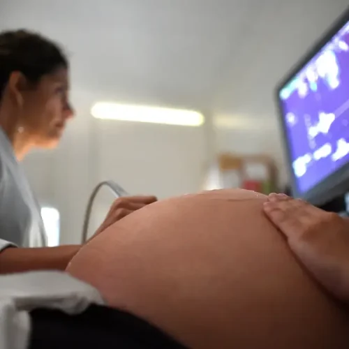Chikungunya: bebês infectados na gestação correm risco de internação
