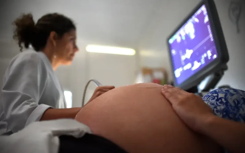 Chikungunya: bebês infectados na gestação correm risco de internação