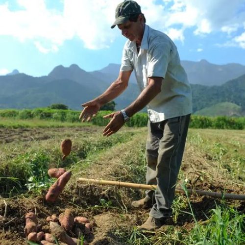 Governo Federal cria o Programa de Projetos Sustentáveis na Agropecuária