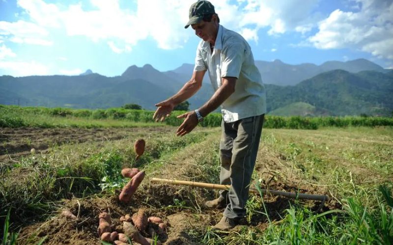 Governo Federal cria o Programa de Projetos Sustentáveis na Agropecuária
