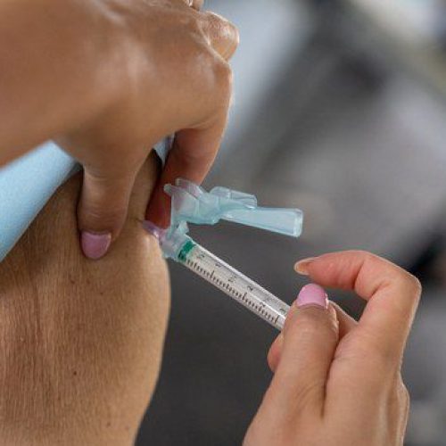 Ministério da Saúde pedirá incorporação da vacina contra Chikungunya no SUS