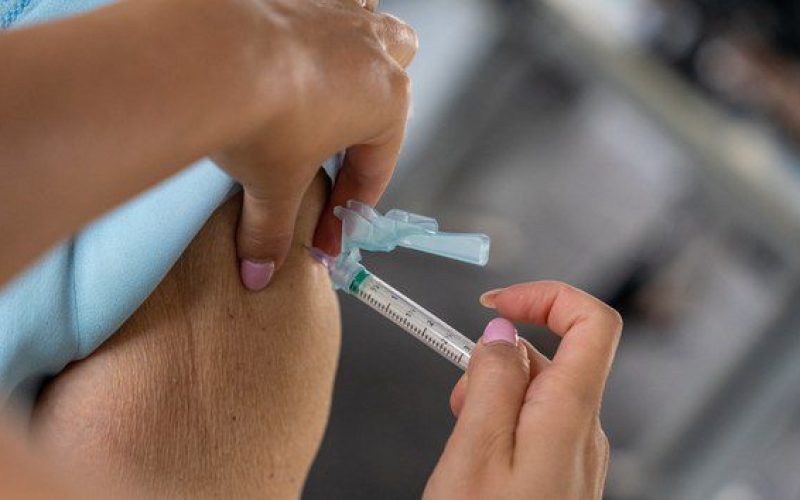 Ministério da Saúde pedirá incorporação da vacina contra Chikungunya no SUS