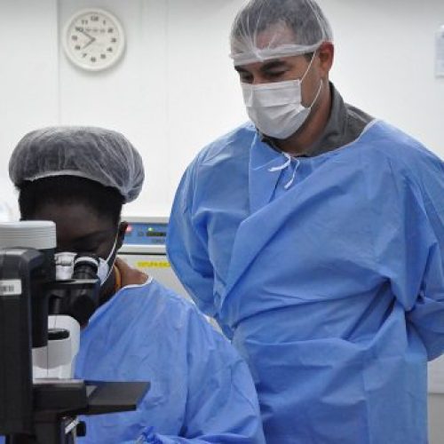 Pesquisa da Fiocruz mostra que nanopartículas ajudam a conter câncer de mama