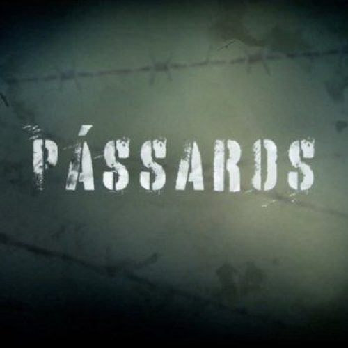 PRF lança documentário original sobre ressocialização e prevenção às drogas no sistema prisional