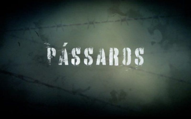PRF lança documentário original sobre ressocialização e prevenção às drogas no sistema prisional