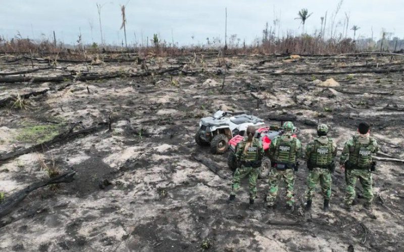 Operação Incêndios 2025: PF lança ação integrada contra queimadas e crimes ambientais
