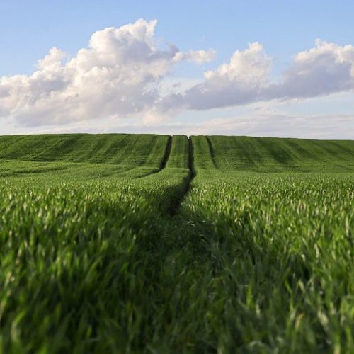 Fundos de Financiamento destinam R$ 24 bilhões para Plano Safra Empresarial