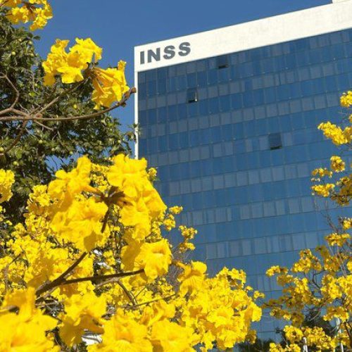 Mais de meio milhão de beneficiários já aderiram ao acordo de ressarcimento do INSS