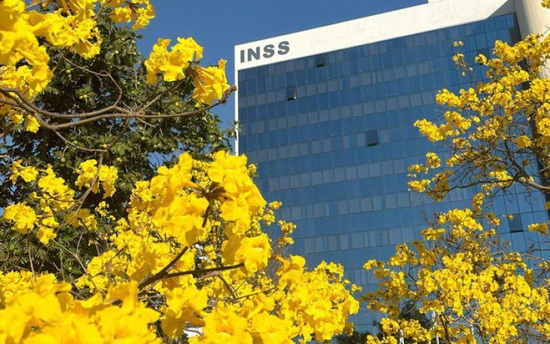 Mais de meio milhão de beneficiários já aderiram ao acordo de ressarcimento do INSS