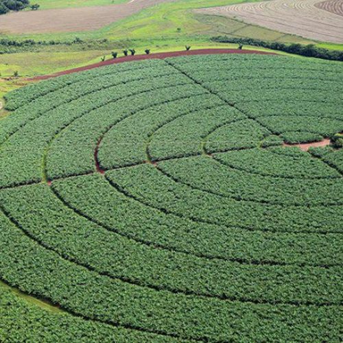 Governo Federal lança plano integrado para desenvolvimento dos polos de irrigação
