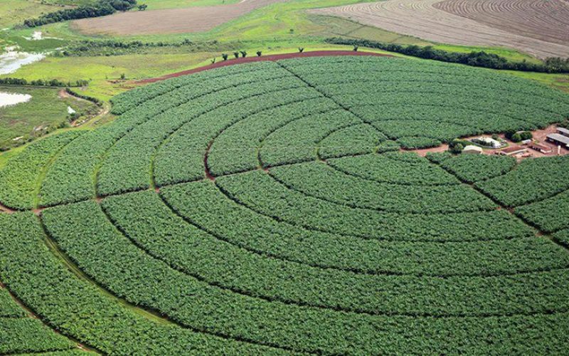 Governo Federal lança plano integrado para desenvolvimento dos polos de irrigação