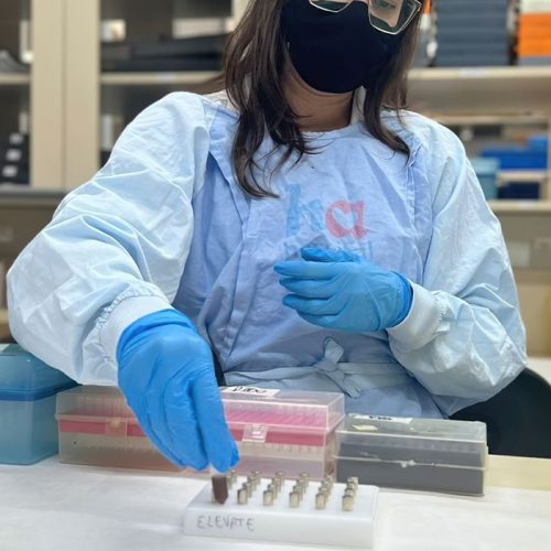 Com tecnologia 100% nacional, novo teste detecta 14 genótipos do HPV