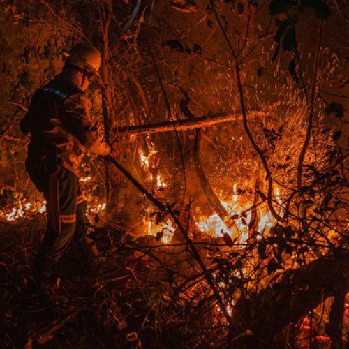 Fundo Amazônia aprova R$ 150 mi para ações contra incêndios no Cerrado e no Pantanal