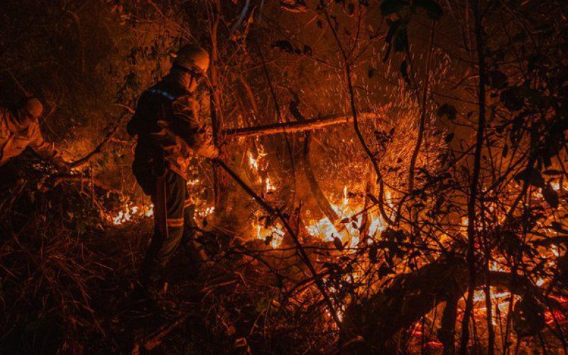 Fundo Amazônia aprova R$ 150 mi para ações contra incêndios no Cerrado e no Pantanal
