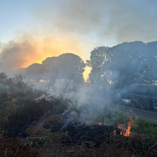 PF prende em flagrante duas pessoas por queimada ilegal em Rondônia
