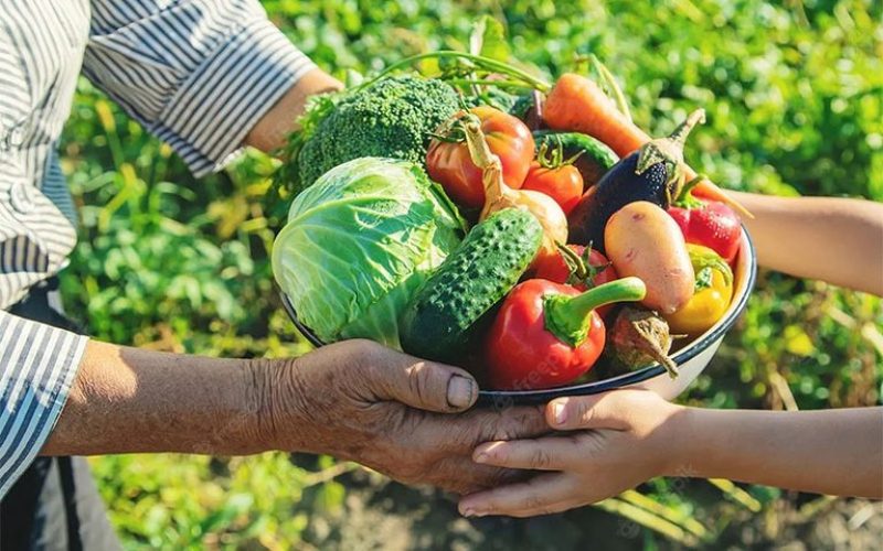 Governo Federal lança chamada para fortalecer dos núcleos de estudos em agroecologia