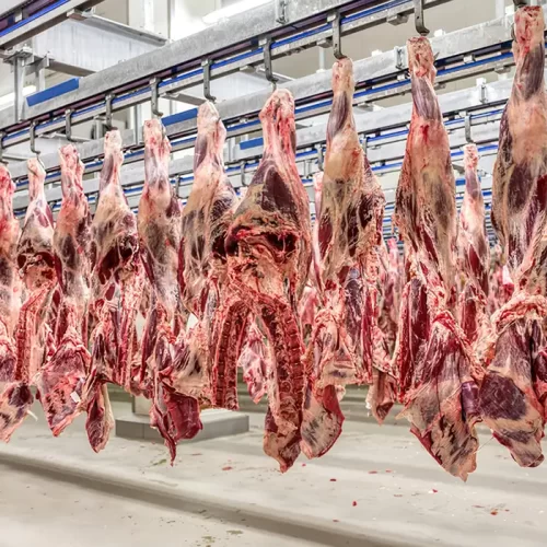 Exportação: com 300 mil toneladas, carne bovina marca recorde em julho