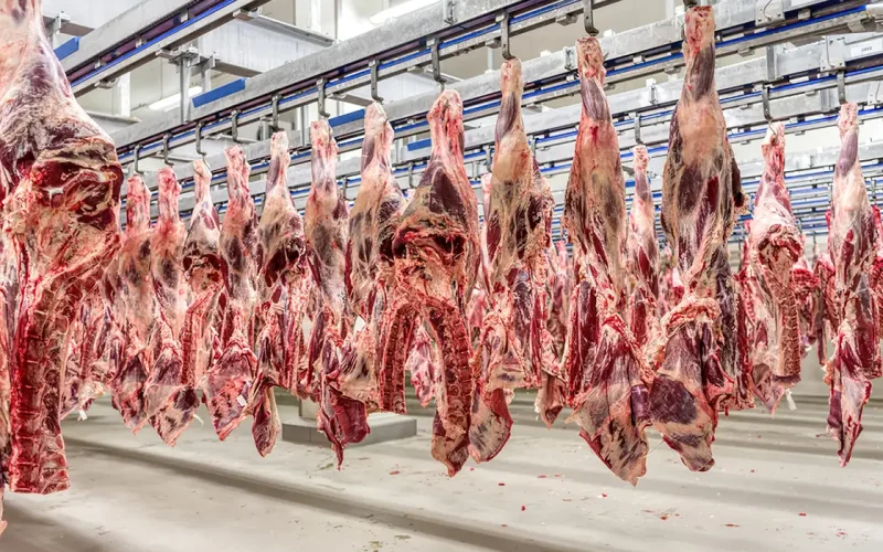 Exportação: com 300 mil toneladas, carne bovina marca recorde em julho