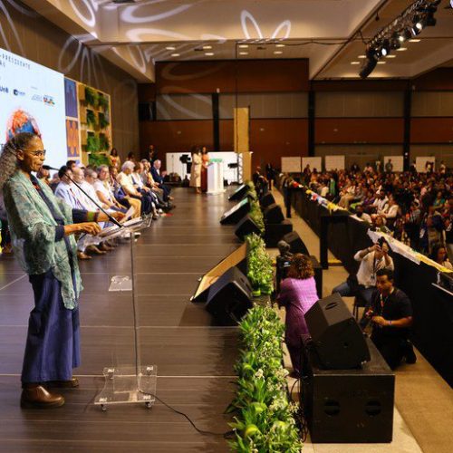 Governo Federal recebe documento com propostas para a política ambiental