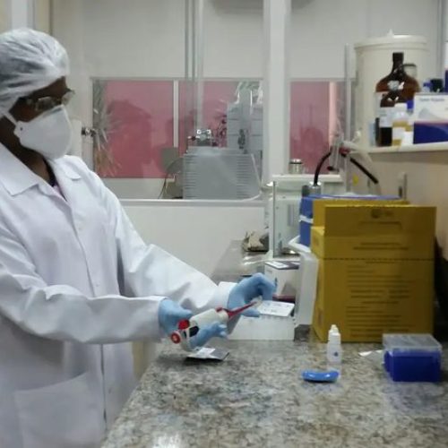 Vacina brasileira contra gripe aviária em humanos aguarda fase de testes