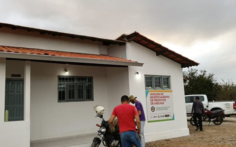Com agroindústria requalificada, apicultores de Anagé miram novos mercados com a produção de mel
