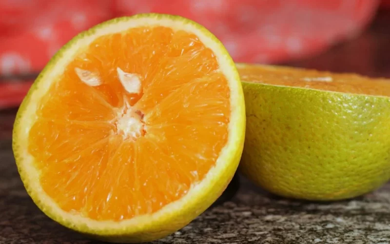 Biocarvão derivado de laranjas é sustentável e pode ajudar a descontaminar água, aponta estudo