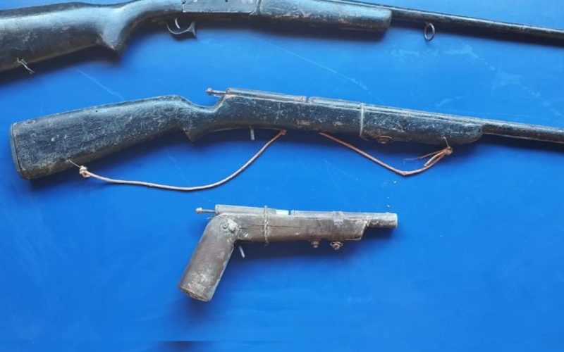 Campo Formoso; Polícia apreendeu armas de fogo