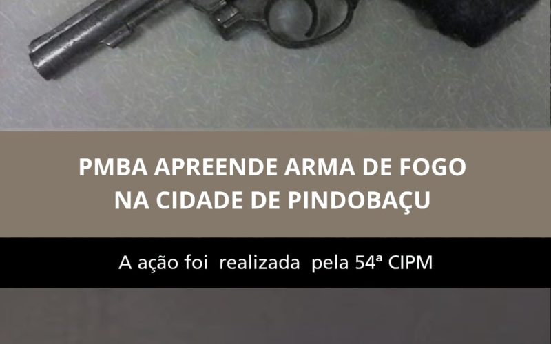 Pindobaçu: Polícia efetua apreensão de Arma de Fogo