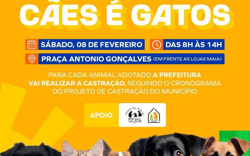 Prefeitura de Senhor do Bonfim promove Feira de Adoção de Cães e Gatos neste sábado (8)