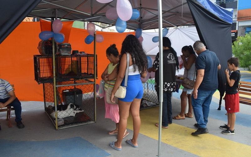 Feira de Adoção de Cães e Gatos movimenta Praça Antônio Gonçalves