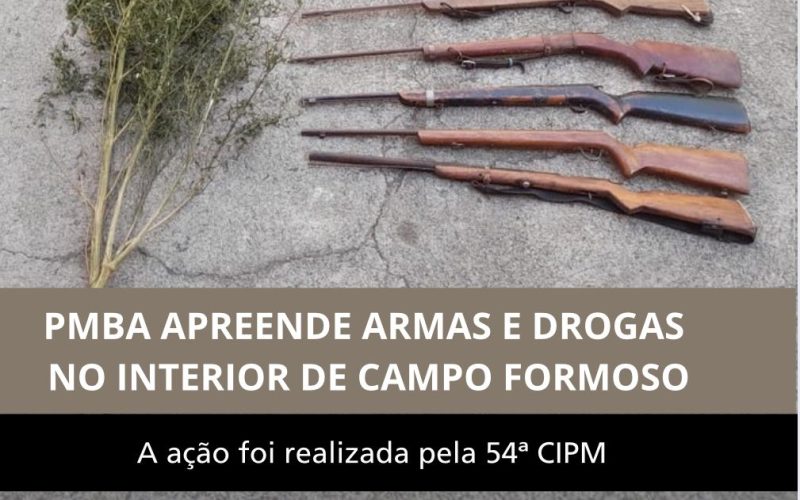 Apreensão de armas de fogo e erradicação de pés de maconha em Campo Formoso