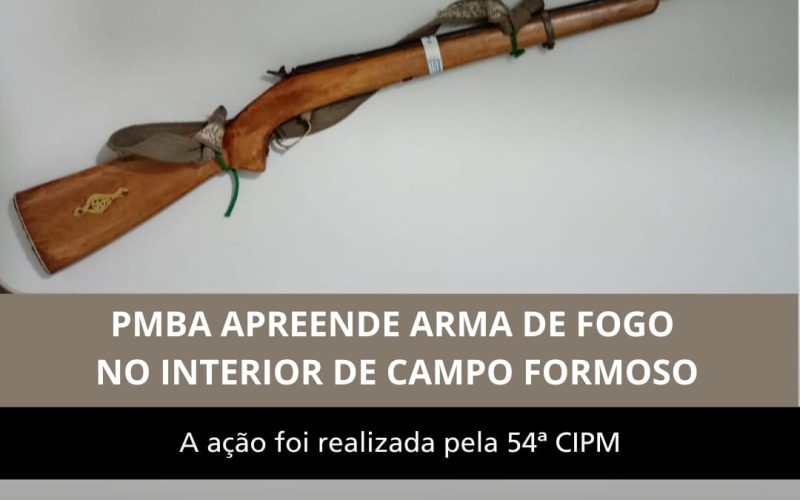 Apreensão de Arma de Fogo em Pindobaçu