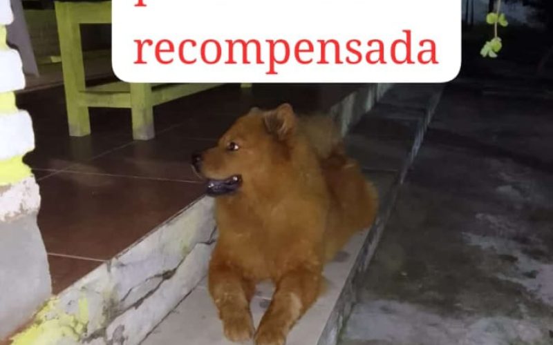 Utilidade Pública