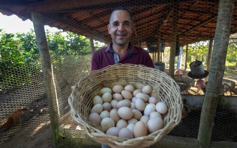 Cesta Básica de Salvador apresenta alta de 0,30% em fevereiro